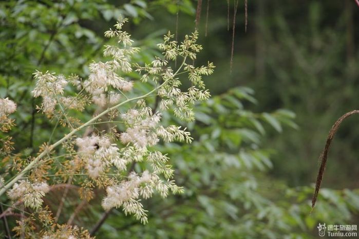 四明山北斗湾漂流 + 芝林小九寨两日游游记28