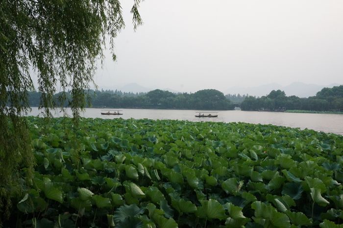 六月中旬杭州千岛湖游记9