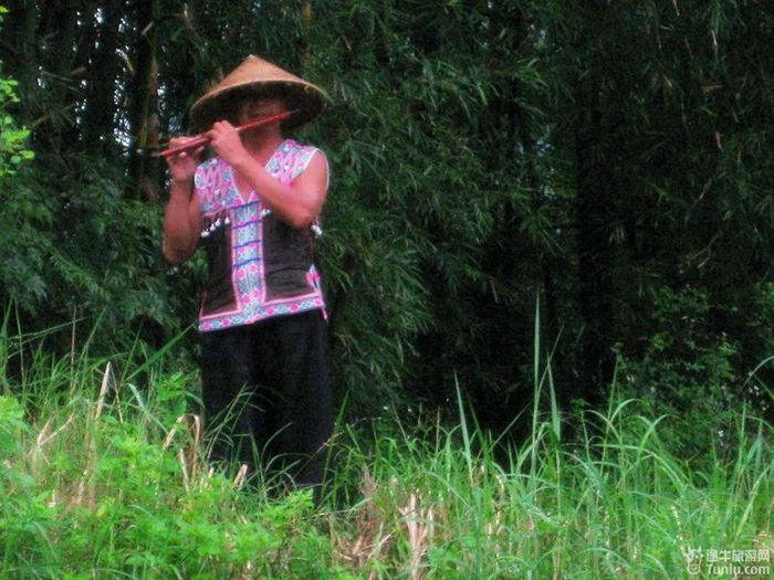 【广西】走入壮家人的明仕田园 探访邮票里隐者之仙居4