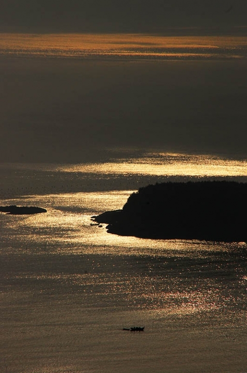 行摄那一片海---美丽滩涂福建霞浦137