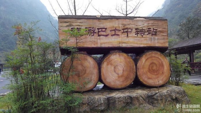 雨雾中的金佛山3