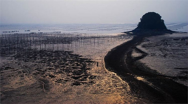 行摄那一片海---美丽滩涂福建霞浦9