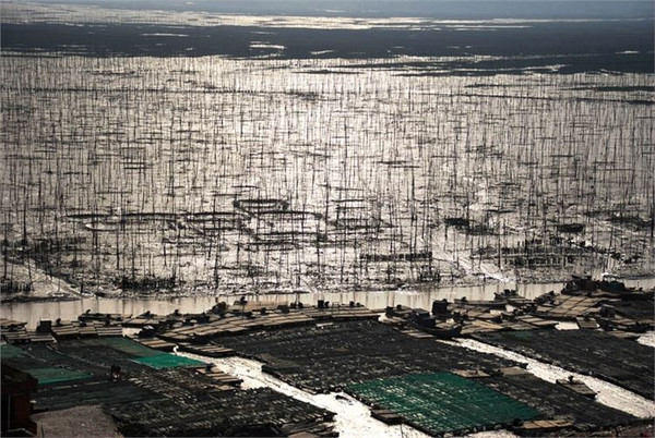 行摄那一片海---美丽滩涂福建霞浦51