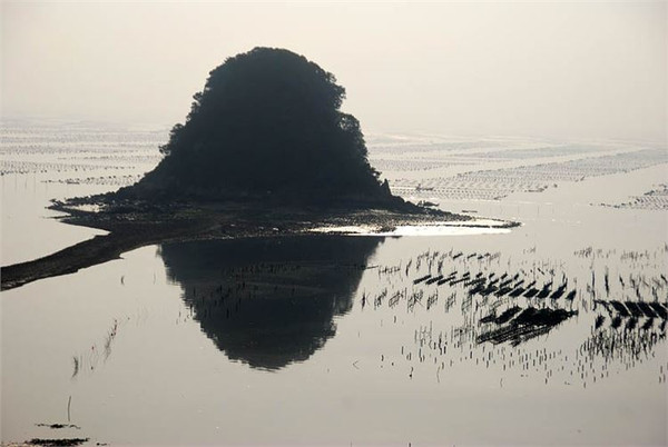 行摄那一片海---美丽滩涂福建霞浦6