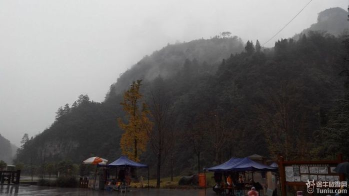 雨雾中的金佛山1