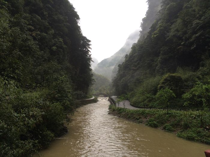 周末之旅金佛山10
