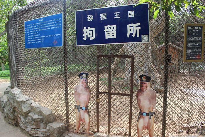 和三亚谈一场永不分手的恋爱28