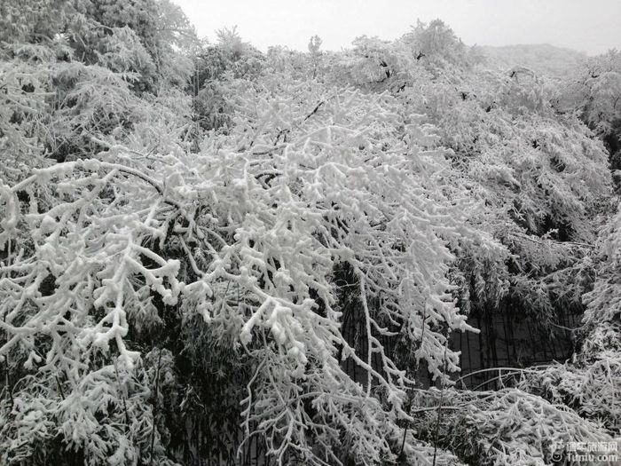 【处女作】金佛山·瑞雪5