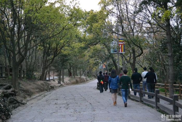 【普陀山2天1夜】想到了就去---海天佛国普陀山（上）107
