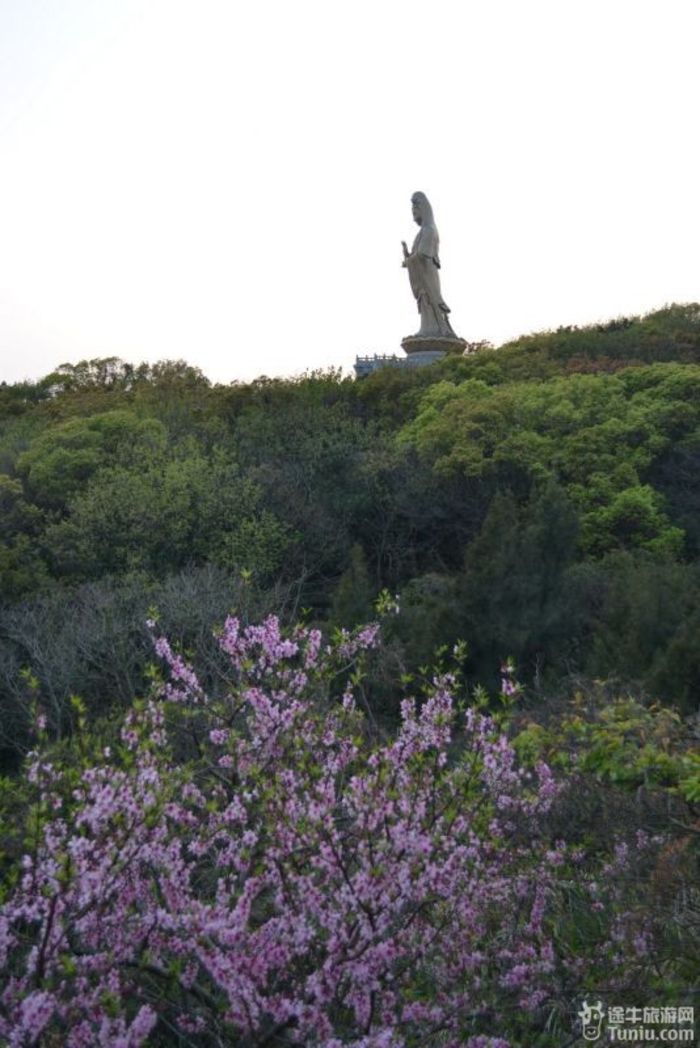 【普陀山2天1夜】想到了就去---海天佛国普陀山（上）105
