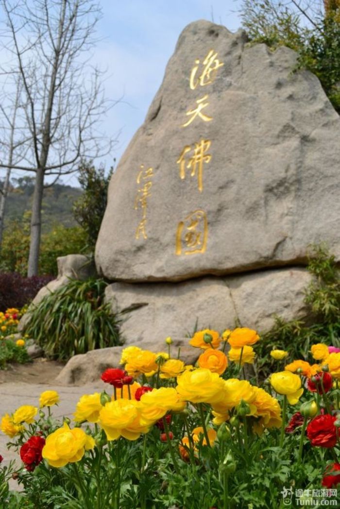 【普陀山2天1夜】想到了就去---海天佛国普陀山（上）30