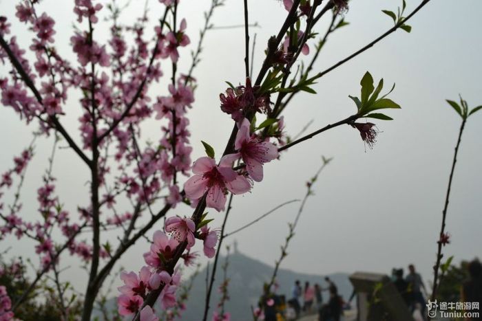 【普陀山2天1夜】想到了就去---海天佛国普陀山（上）52