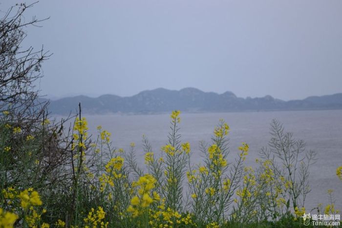 【普陀山2天1夜】想到了就去---海天佛国普陀山（上）103