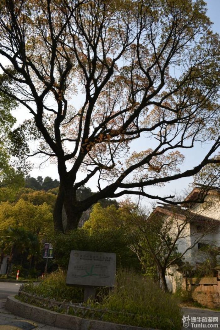 【普陀山2天1夜】想到了就去---海天佛国普陀山（上）70