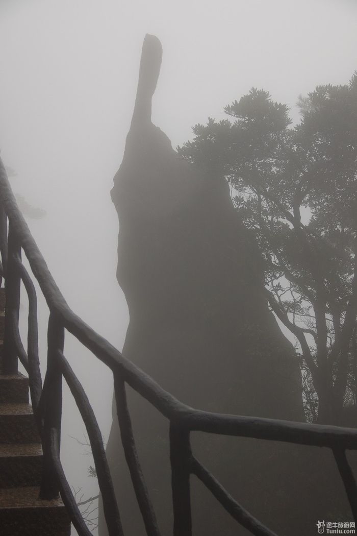 篁岭--三清山--八卦村三日记行29