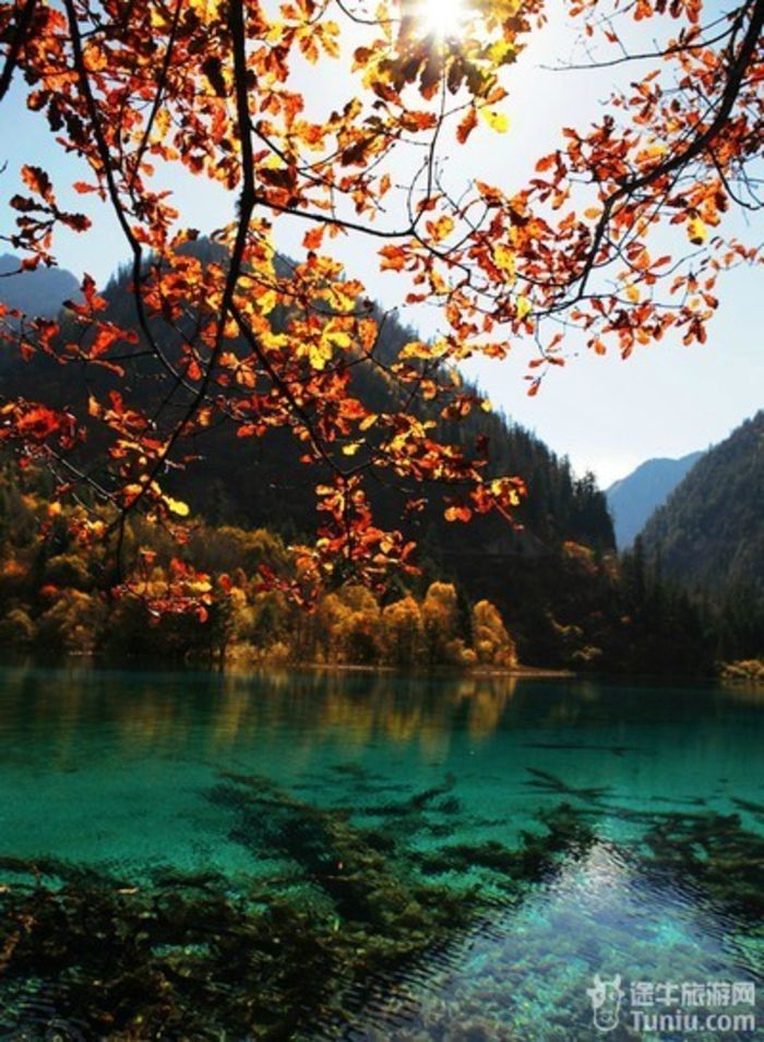 九寨沟。一个风景如画的地方4