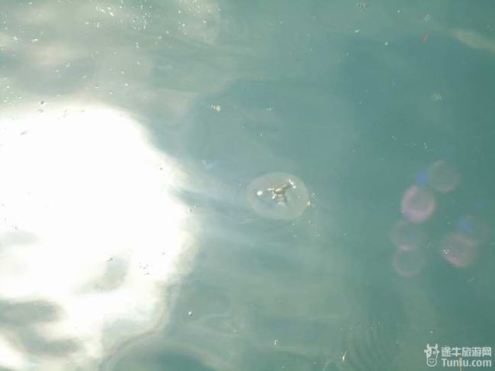 2012年暑期山东半岛海滨清凉游,还是青岛好13