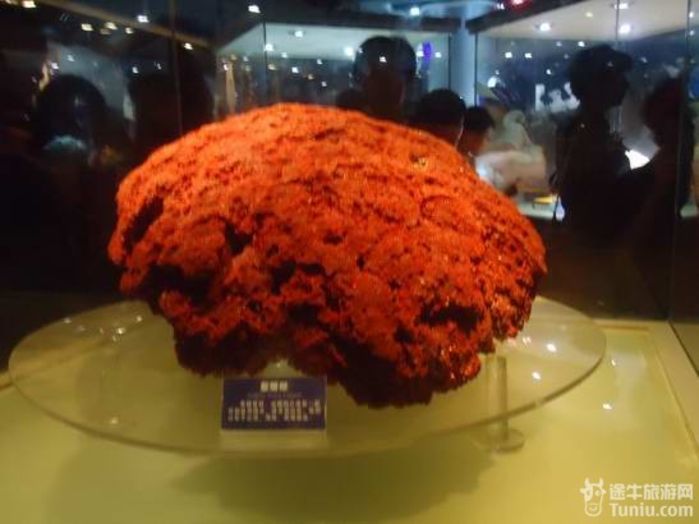 2012年暑期山东半岛海滨清凉游,还是青岛好40