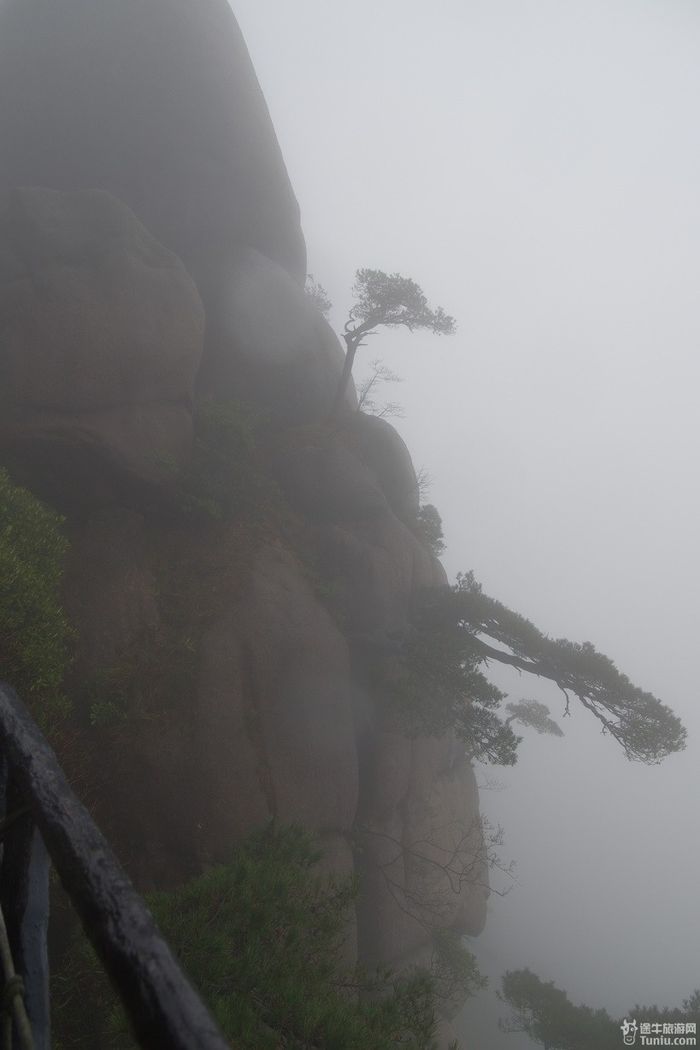 篁岭--三清山--八卦村三日记行27