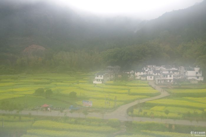 篁岭--三清山--八卦村三日记行4