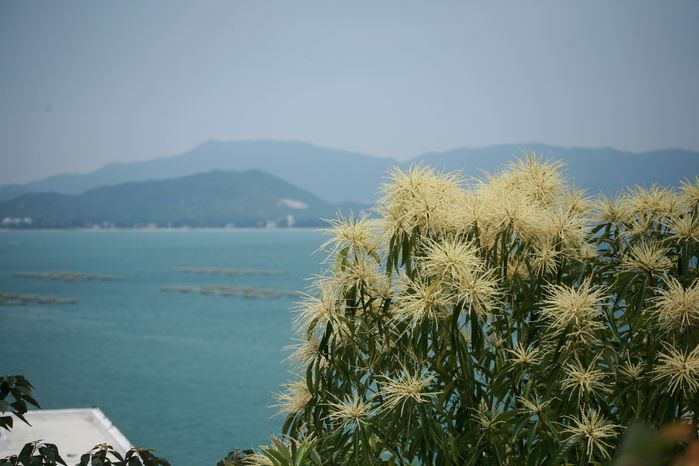 勇者无惧——记七星湾海岸线穿越9