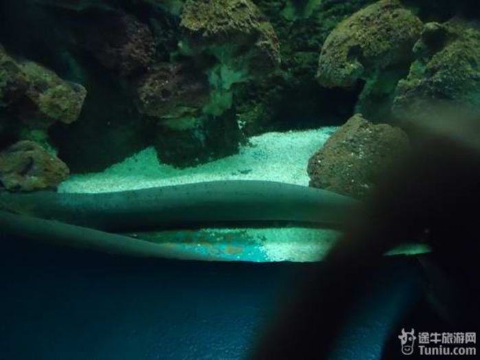 2012年暑期山东半岛海滨清凉游,还是青岛好52