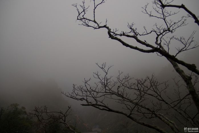 篁岭--三清山--八卦村三日记行31
