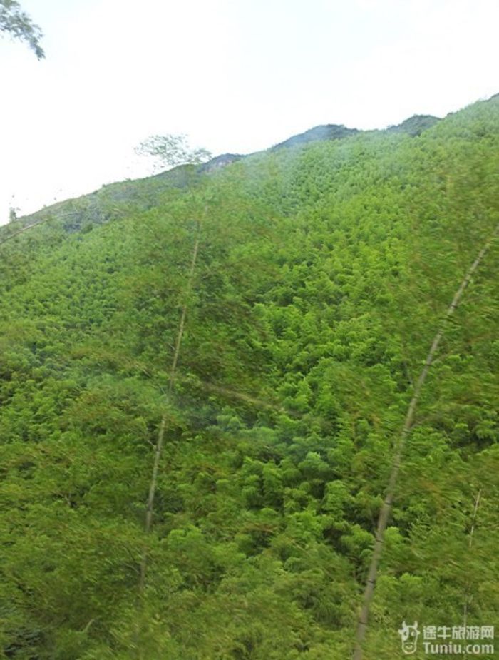 南山竹海旅游攻略我的家人游2