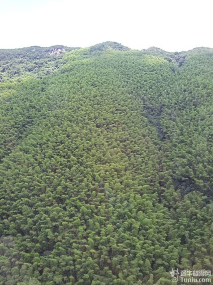南山竹海旅游攻略我的家人游3