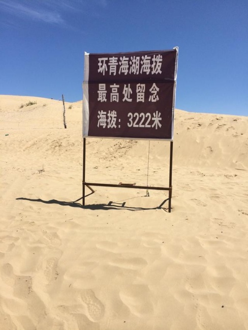 我们的美丽，在青海湖绽放38