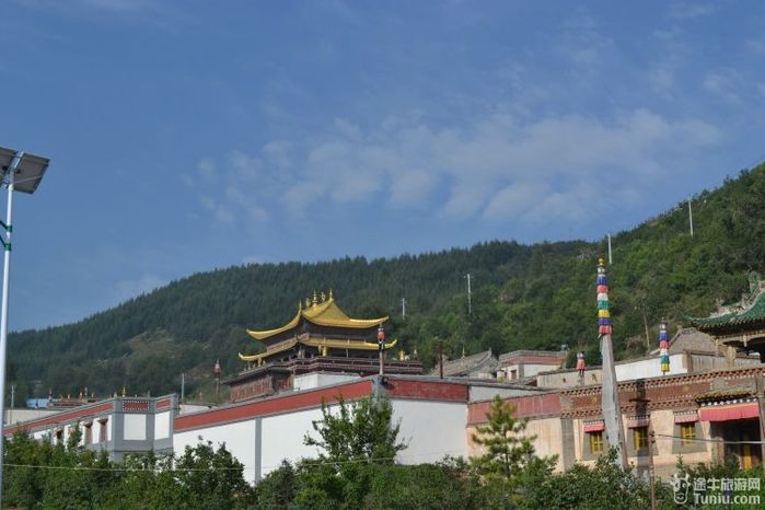 【青海旅游攻略】青.甘8日古丝绸之旅----大美青海湖②16