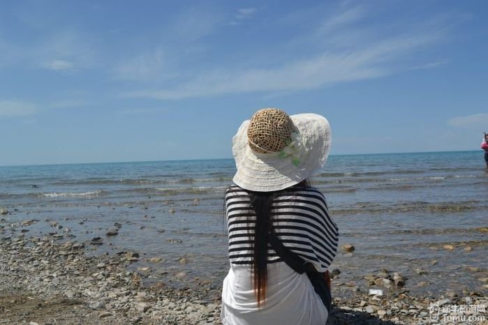【青海旅游攻略】青.甘8日古丝绸之旅----大美青海湖②48