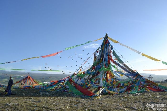 【青海旅游攻略】青.甘8日古丝绸之旅----大美青海湖②67