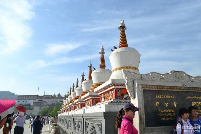 【青海旅游攻略】青.甘8日古丝绸之旅----大美青海湖②8