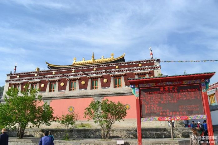 【青海旅游攻略】青.甘8日古丝绸之旅----大美青海湖②10