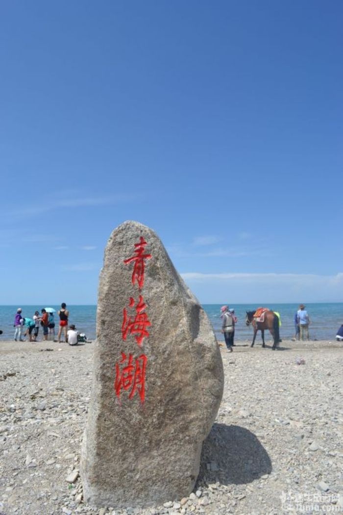 【青海旅游攻略】青.甘8日古丝绸之旅----大美青海湖②42