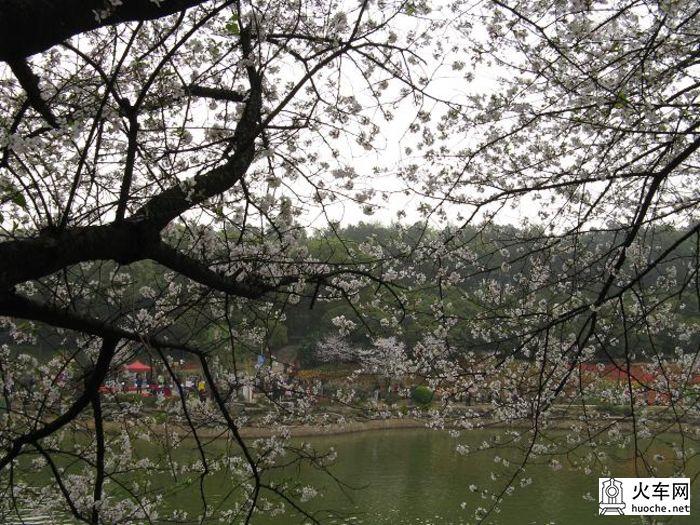 你的美,我知道——跟我游湖南15
