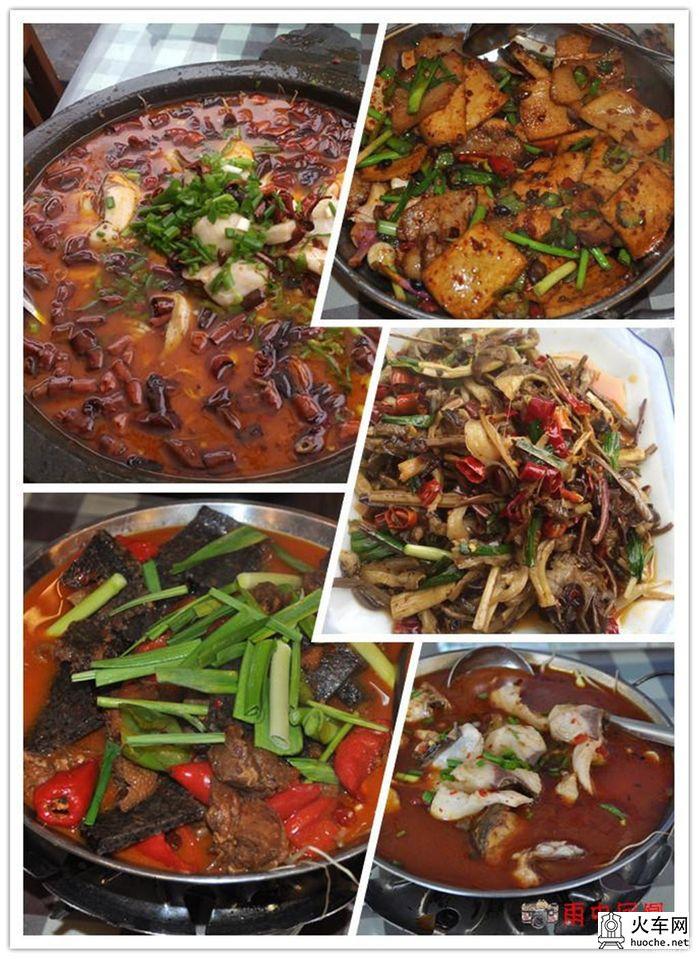 凤凰不负春光的雨中行13