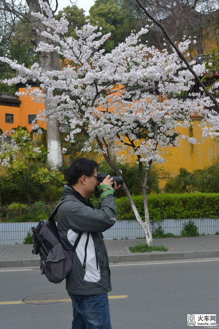 【鸡鸣寺樱花大道旅游攻略】樱花树下痴迷的拍客们42