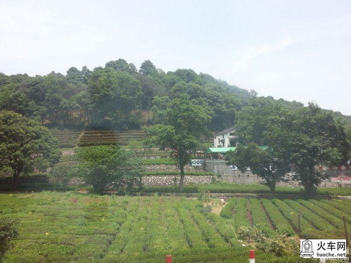 【浙江、江苏】难忘江南—华东五日游24