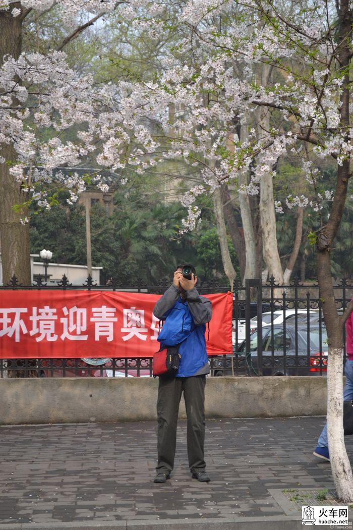 【鸡鸣寺樱花大道旅游攻略】樱花树下痴迷的拍客们25