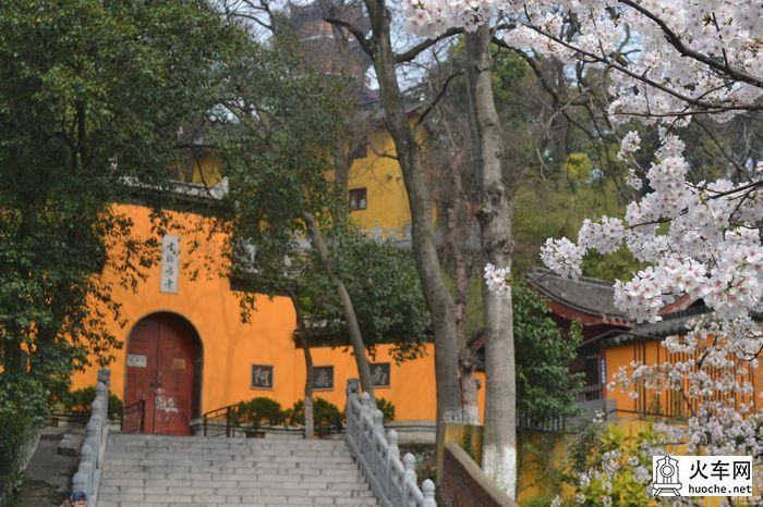 【鸡鸣寺樱花大道旅游攻略】樱花树下痴迷的拍客们9
