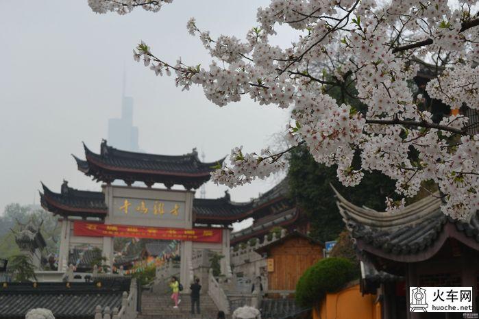 【鸡鸣寺樱花大道旅游攻略】樱花树下痴迷的拍客们7