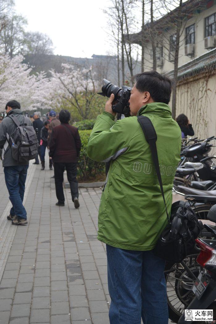 【鸡鸣寺樱花大道旅游攻略】樱花树下痴迷的拍客们50