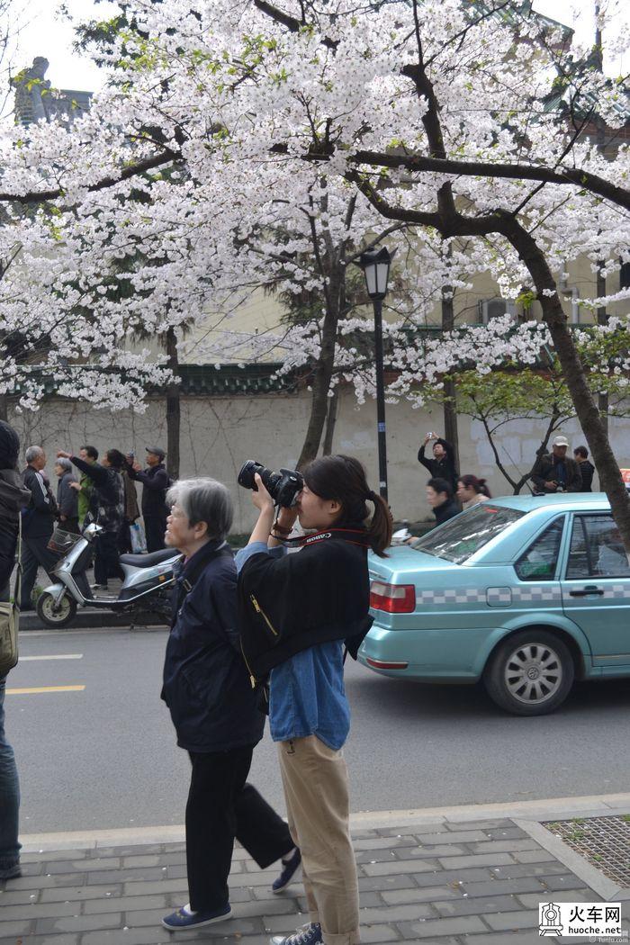 【鸡鸣寺樱花大道旅游攻略】樱花树下痴迷的拍客们26