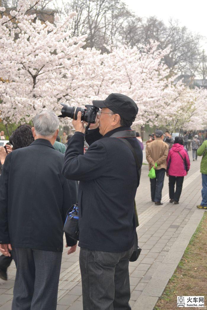 【鸡鸣寺樱花大道旅游攻略】樱花树下痴迷的拍客们47