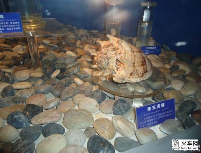 [美丽的青岛]青岛海滨亲子游21