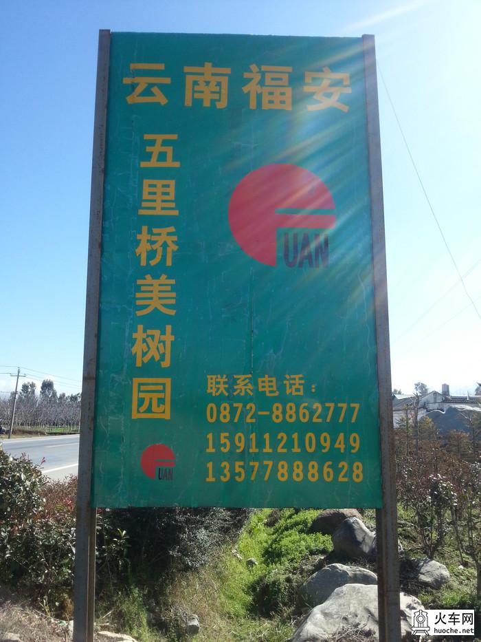 大理行记——洱海骑行观光56