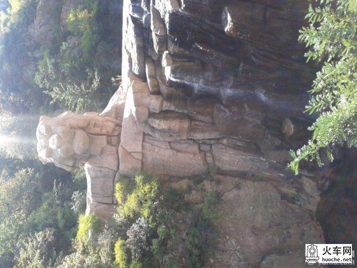 携老扶幼游美丽的青岛13