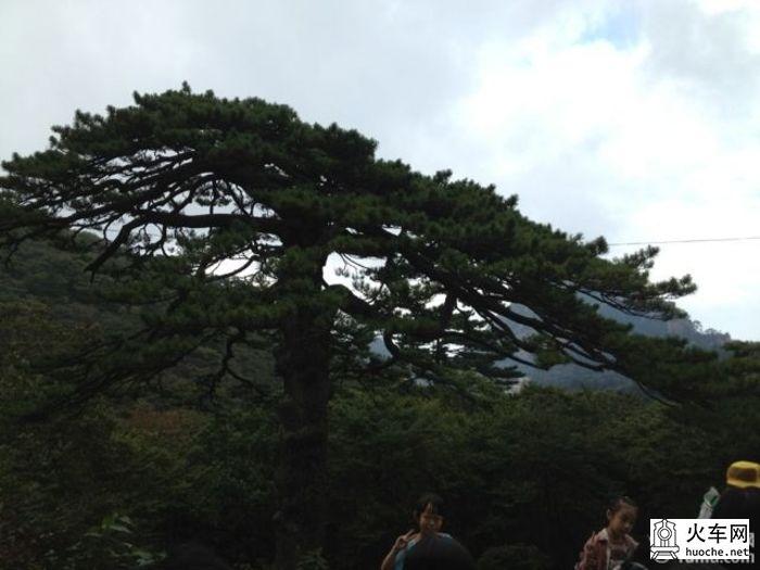 黄山旅游TIPS8